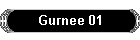 Gurnee 01